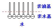 肥皂、洗衣粉和洗衣液三者有哪些區(qū)別？