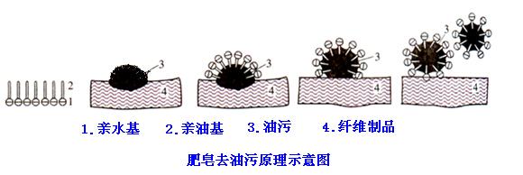 肥皂、洗衣粉和洗衣液三者有哪些區(qū)別？